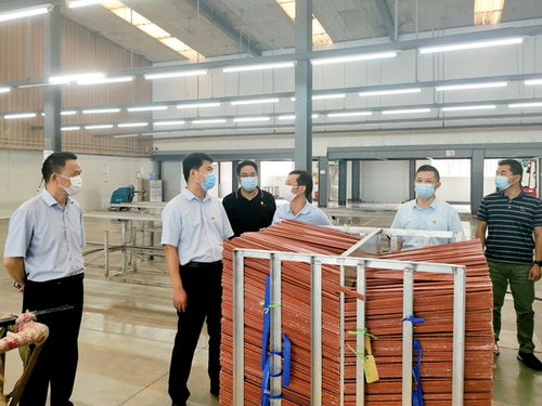 強化防疫與優化服務并重，陳集鎮迎來市領導專項指導